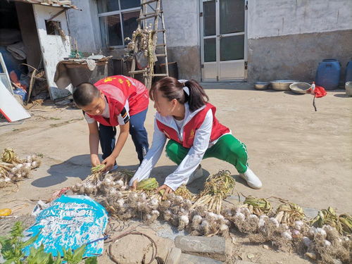 东营市新时代文明实践志愿服务网 数字化平台赋能志愿服务新篇章