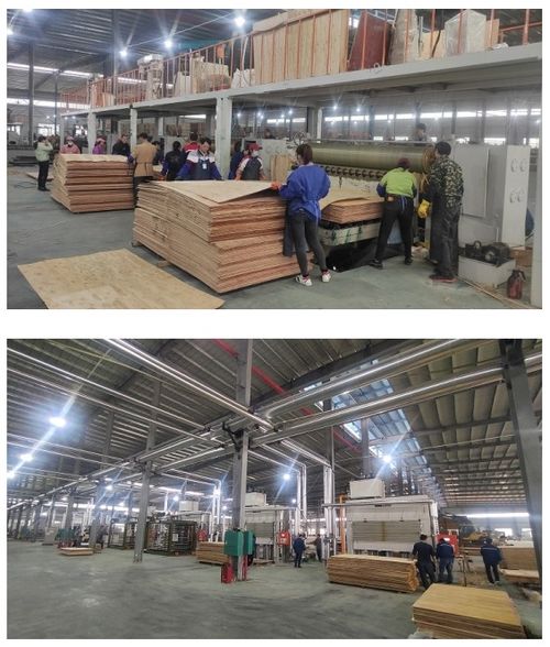 开年开好局，大王椰家具板渠道发力气势如虹，网络服务赋能新增长