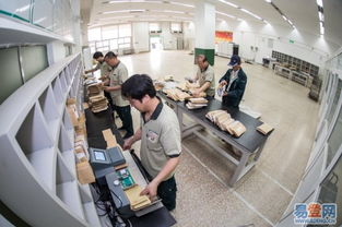 顺风投递 闵行地区的优质网络服务品牌